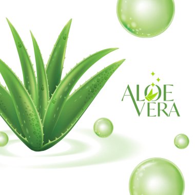 Aloe Vera Kolajen Serum Cilt Bakımı Kozmetik.