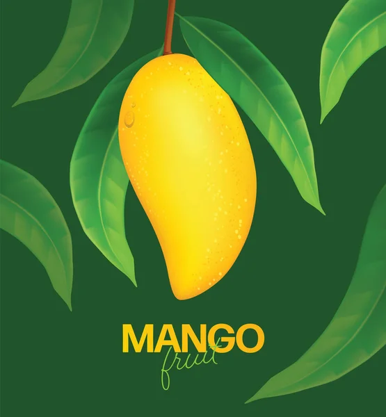 Frische Mango Mit Scheiben Und Blättern Vector Illustration — Stockvektor