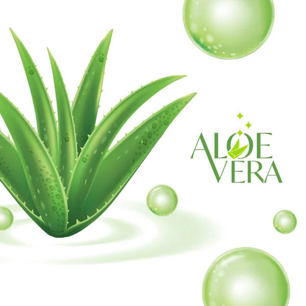 Aloe Vera Colágeno Serum Skin Care Cosmetic — Vetor de Stock