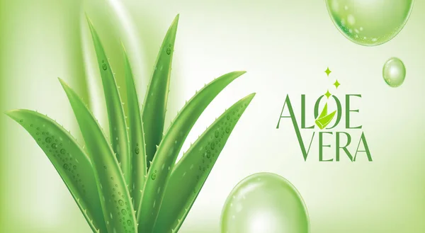 Aloe Vera Collagène Sérum Soin Peau Cosmétique — Image vectorielle