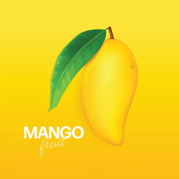 Frische Mango Mit Scheiben Und Blättern Vector Illustration — Stockvektor