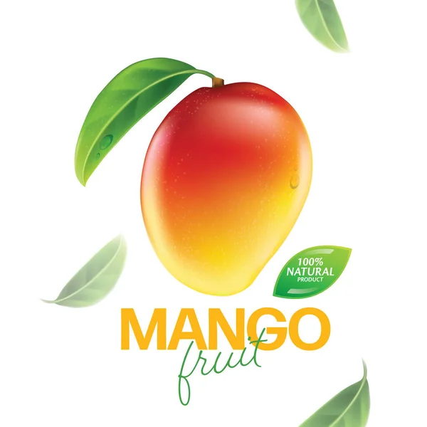 Fresh Mango Slices Leaves Vector Illustration — Stock Vector