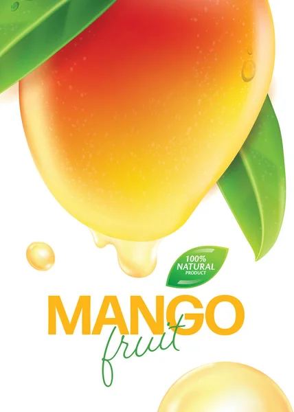 Verse Mango Met Plakjes Bladeren Vector Illustratie — Stockvector