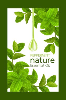 Nane yaprağı, doğa esaslı yağ. 