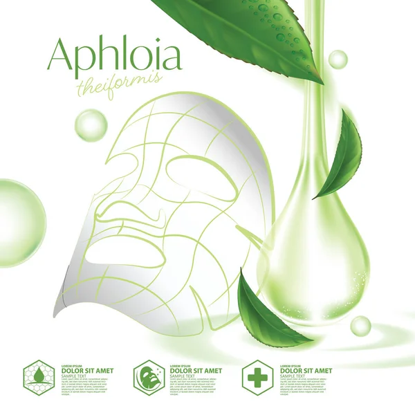 Aphloia Theiformis 马达加斯加茶润肤精华自然护肤化妆品 — 图库矢量图片