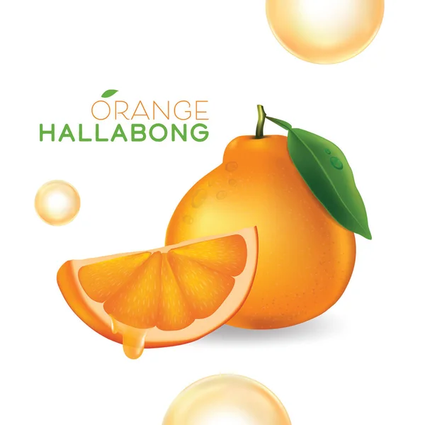 Jeju Island Orange Hallabong Vitamin Serum Humidité Soins Peau Cosmétique — Image vectorielle