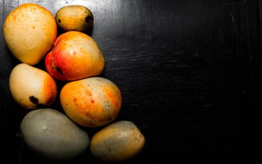 Manga, fruta tipica do cerrado. Mango, tipik savana meyvesi, tatlı ve lezzetli..