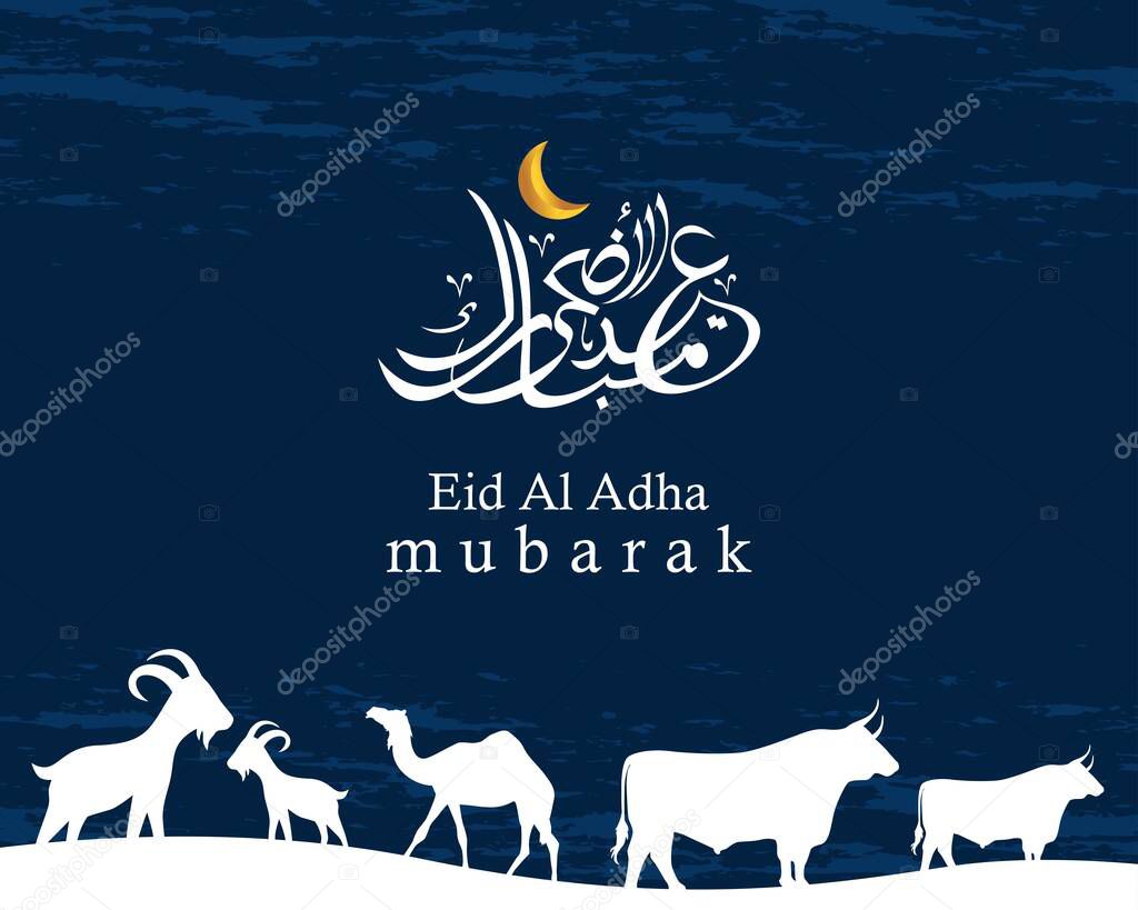 Arabic Calligraphic text of Eid Al Adha Mubarak for the musim celebration. Eid al adha creative design islamic celebration for print, card, poster, banner etc.