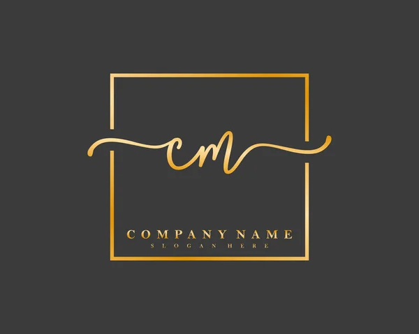 Logo Manuscrit Initial Signature Initiale Maquillage Mariage Mode Dans Cadre — Image vectorielle