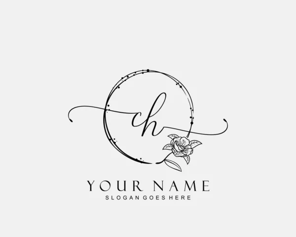 Initial Beauty Monogram Elegant Logo Design Handwriting Logo Initial Signature — Stock Vector