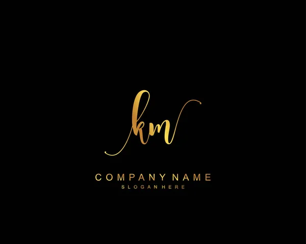 Initial Schönheit Monogramm Und Elegantes Logo Design Handschrift Logo Der — Stockvektor