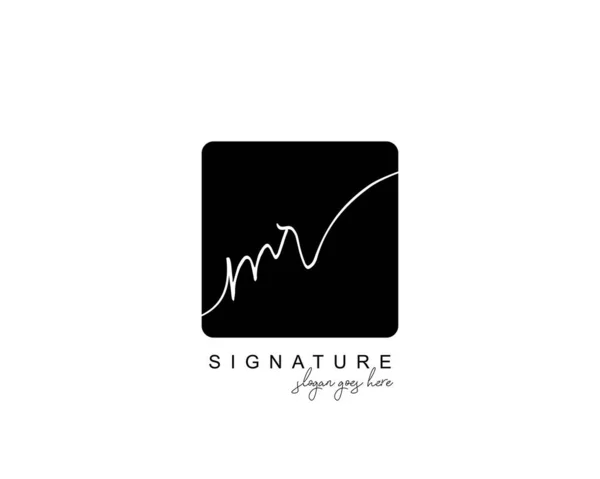 Initial Beauty Monogram Elegant Logo Design Handwriting Logo Initial Signature — Stock Vector