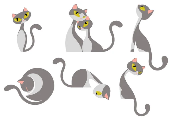 Χαριτωμένο Κομψό Γκρι Λευκό Σετ Σχεδιασμού Γάτα — Διανυσματικό Αρχείο