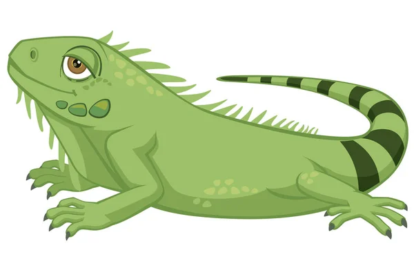Cute Detailed Pet Iguana Cartoon Style Διάνυσμα Εικονογράφηση Απομονώνονται Λευκό — Διανυσματικό Αρχείο