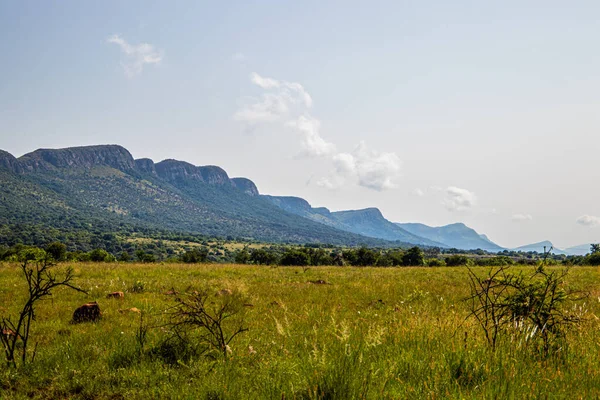 Una Vista Cordillera Magaliesberg — Foto de Stock