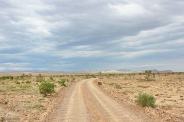 Altyn-Emel Doğa Parkının Yolu, İlkbahar, Kazakistan, 2018