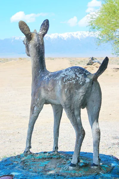 Kurak çöldeki su kaynağı, Altyn- Emel Doğa Parkı, Kazakistan