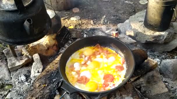 Ovos mexidos com tomate são cozidos em uma fogueira em condições de caminhada — Vídeo de Stock