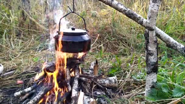 Kaffe tillagas i vattenkokaren på elden — Stockvideo