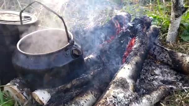 Caminhadas chaleira banquetes nas chamas de uma fogueira — Vídeo de Stock