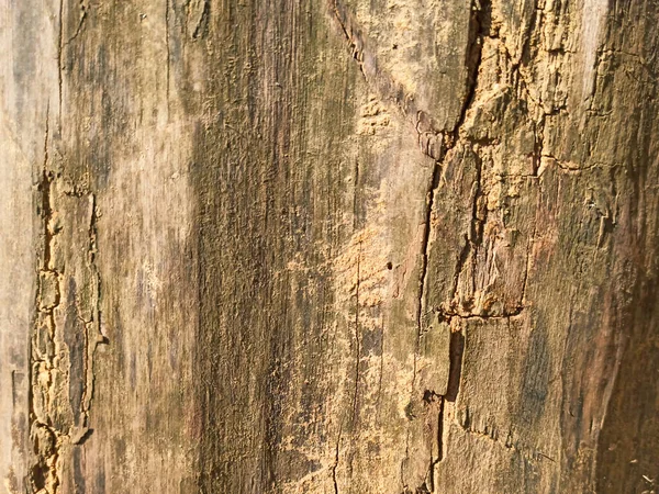 Wall Old Logs Close — Stock Photo, Image