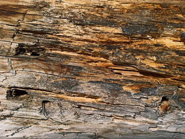 Wall Old Logs Close — Stock Photo, Image