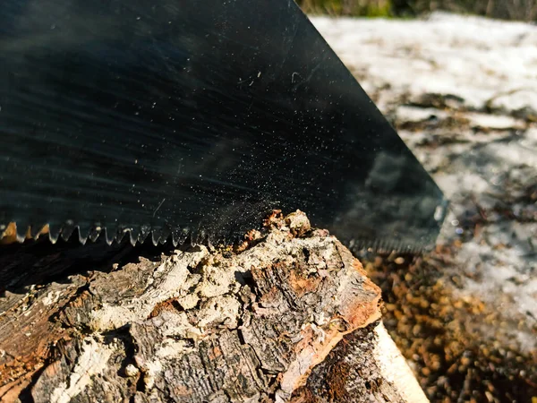 Serra Mão Com Uma Alça Laranja Log — Fotografia de Stock