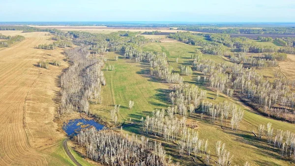 Dry grass burns, natural disaster. Aerial view. Flying over a smoking field, spring fall of grass.