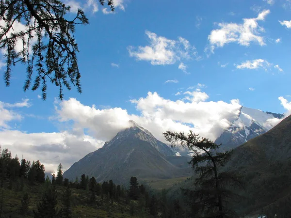 Muhteşem dağlık bir manzara. Bulutlarda Altai Zirvesi. Katun Dağları. Altai Cumhuriyeti, Sibirya, Rusya.