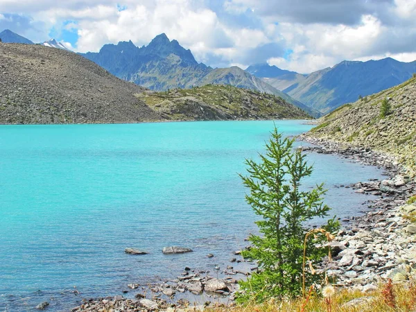 Güzel yaz manzarası, dağ gölü, Rusya, Sibirya, Altai dağları, Katun tepesi