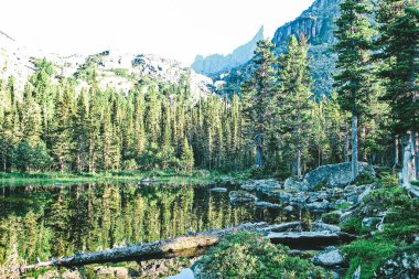 Parkta yansıması olan dağ gölü Ergaki, Rusya