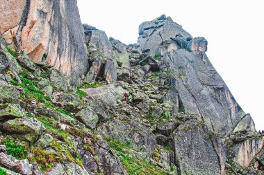 Ergaki Doğal Parkı 'nın dağlarındaki manzara. Taşlar ve taze sedir ağaçları. Batı Sayan dağlarında güneşli bir gün