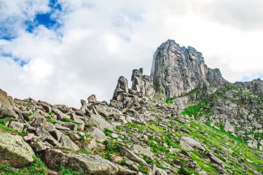 Ergaki Doğal Parkı 'nın dağlarındaki manzara. Taşlar ve taze sedir ağaçları. Batı Sayan dağlarında güneşli bir gün