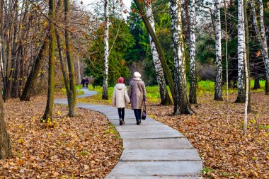 Sonbaharın ortasında parkta basit ve spor yürüyüşleri 