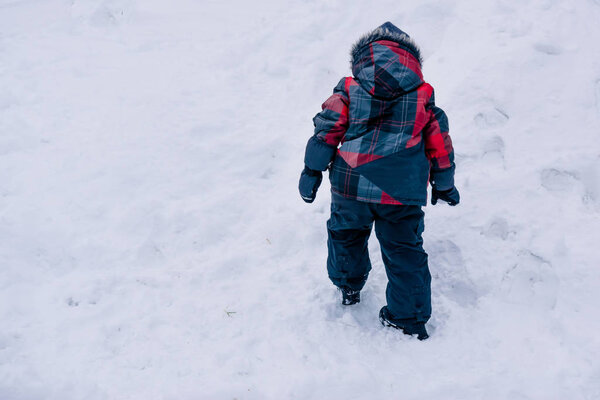walking in the Park on a winter cloudy day 