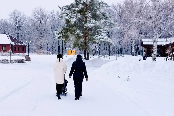Séta Emberek Téli Parkban Házak Készült Rönk — Stock Fotó