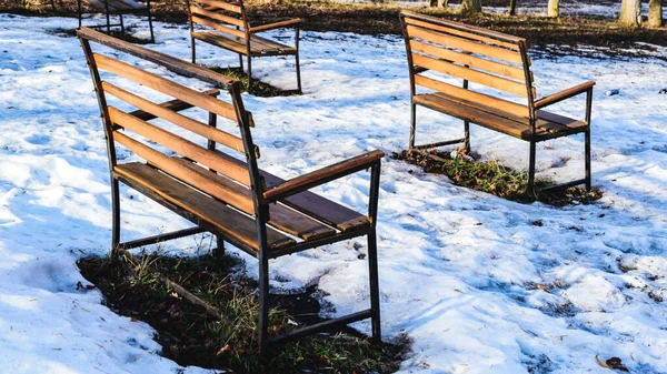 Beginning Spring Park Snow Began Melt Thawed — Stockfoto