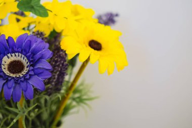 yapay çiçekler - papatyalar, asterler veya zinyalar 