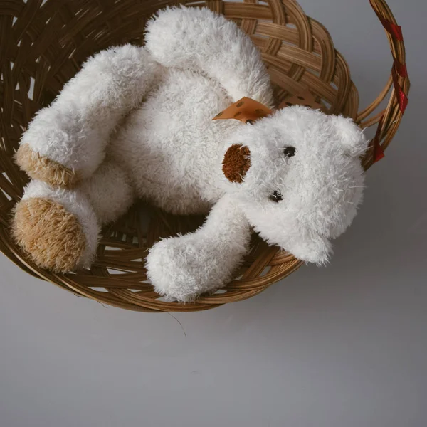 動物の形をした柔らかい白いおもちゃ — ストック写真