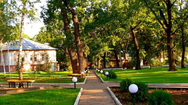 Güneşli bir günde eylülde ya da yazda park et 
