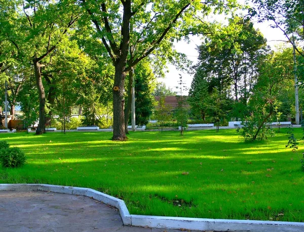 Parc Septembre Été Par Une Journée Ensoleillée Claire — Photo