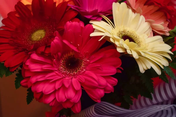 gerbera flowers in a bouquet or in a vase, natural or artificial