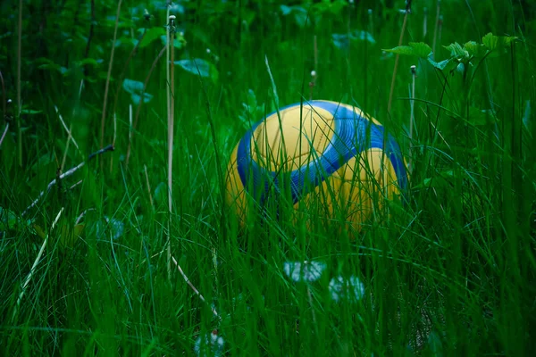 Bola Futebol Azul Amarelo Grama Alta — Fotografia de Stock