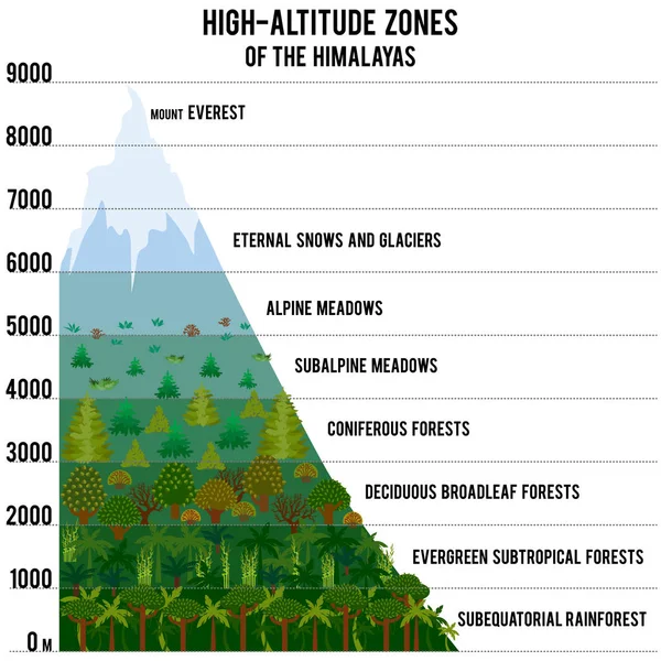 Ilustração vetorial com zonas de alta altitude do Himalaia — Vetor de Stock