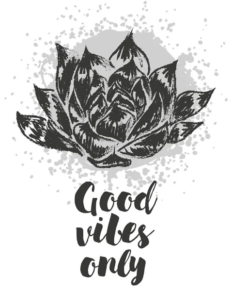 Illustration vectorielle avec succulents — Image vectorielle