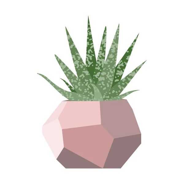 Vektorillustration mit Sukkulente im geometrischen Blumentopf — Stockvektor