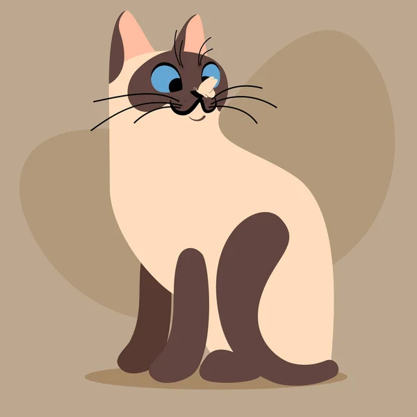 Cartoon bicolor kitten — Stock Vector