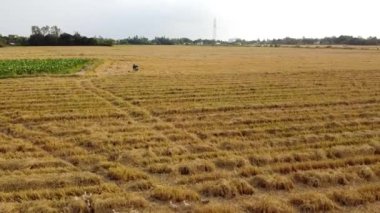 Vietnam 'da küçük bir şehir