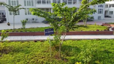 Vietnam 'da hatıra ağacı dikiyorum.