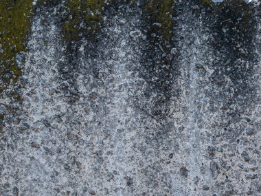 Yosun ile duvar, Yeşil Benekli Beton Duvar, Duvar dokusu